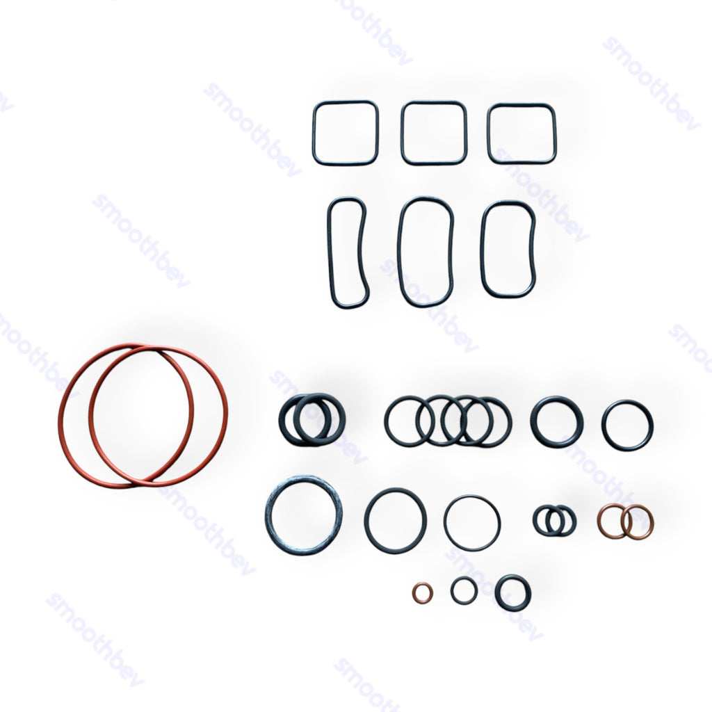 LDU Rebuild and Repair O-Ring Kit 25pcs.